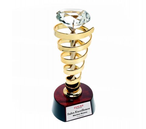 Round Wood Base Trophie
